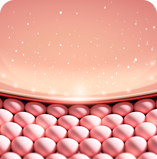 주름 및 탄력 개선