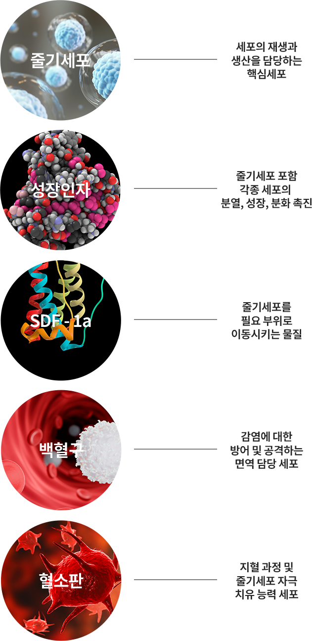 5가지 필수 재생세포 이식